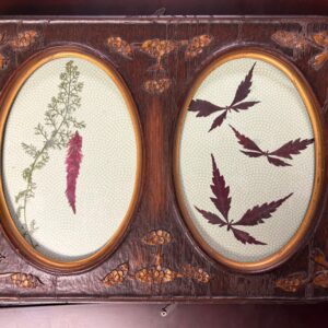 Butterflies and Cocoon on Fern in Vintage Frame